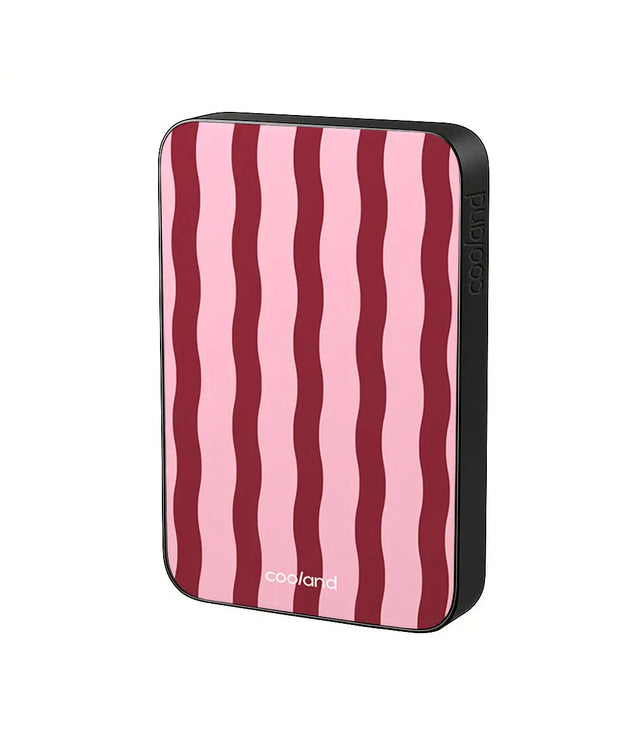 PowerBank