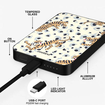 San Francisco - PowerBank COOLAND