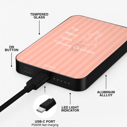 Chickens Stripes - PowerBank