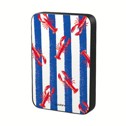 Lobbie - PowerBank COOLAND