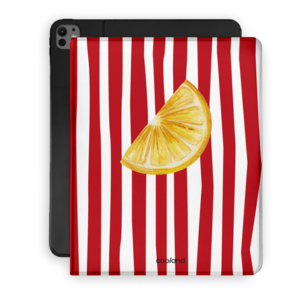 Villa Limone - iPad